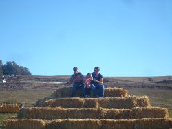 2014 Us w Autumn Scott Serene at Petes Pumpkin Patch 38